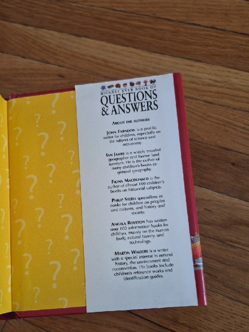 Questions & Answers Trivia - Picture 3 of 3